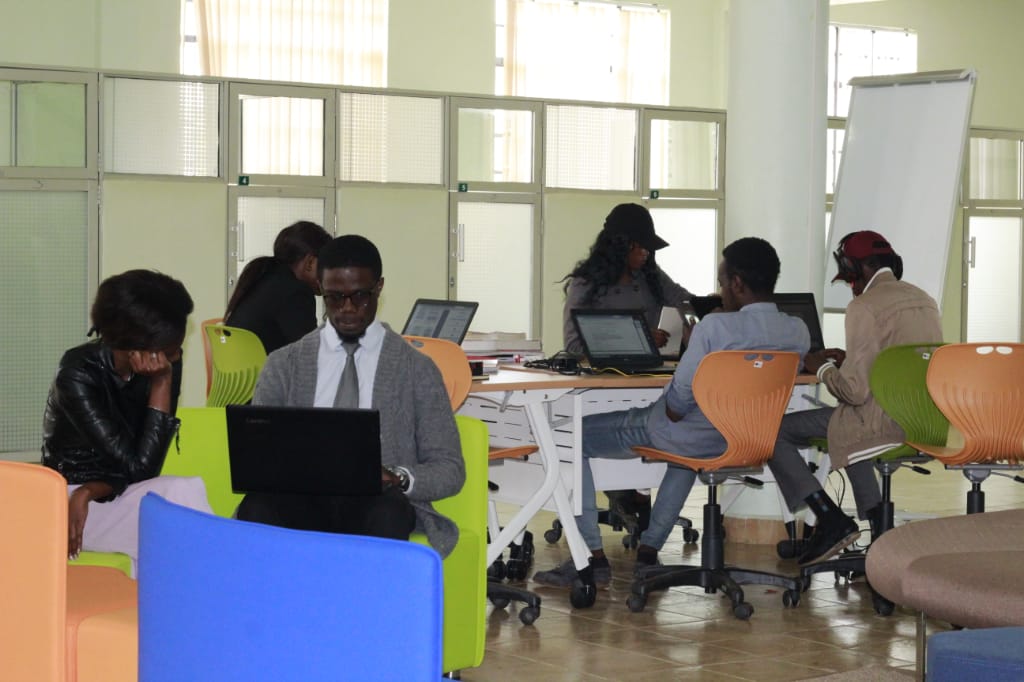 Study Areas